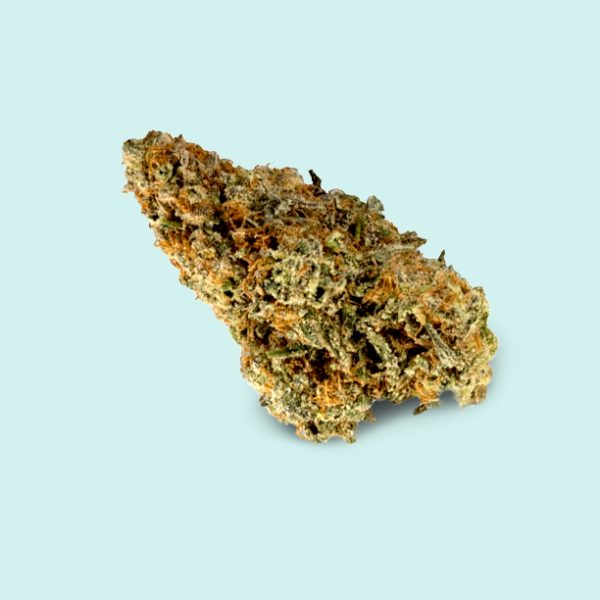 Indica Premium Mango Kush Cannabis
