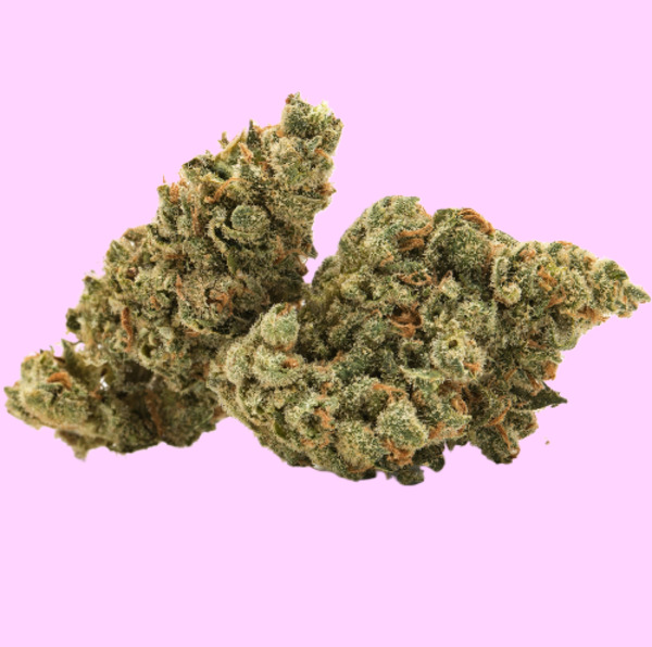 Lemon Gushers (Indica)